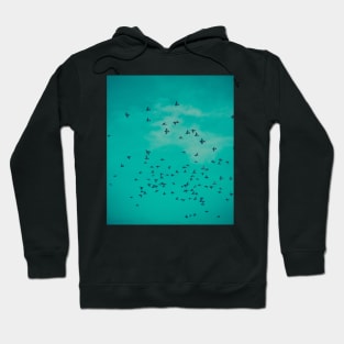 On the Wing Hoodie